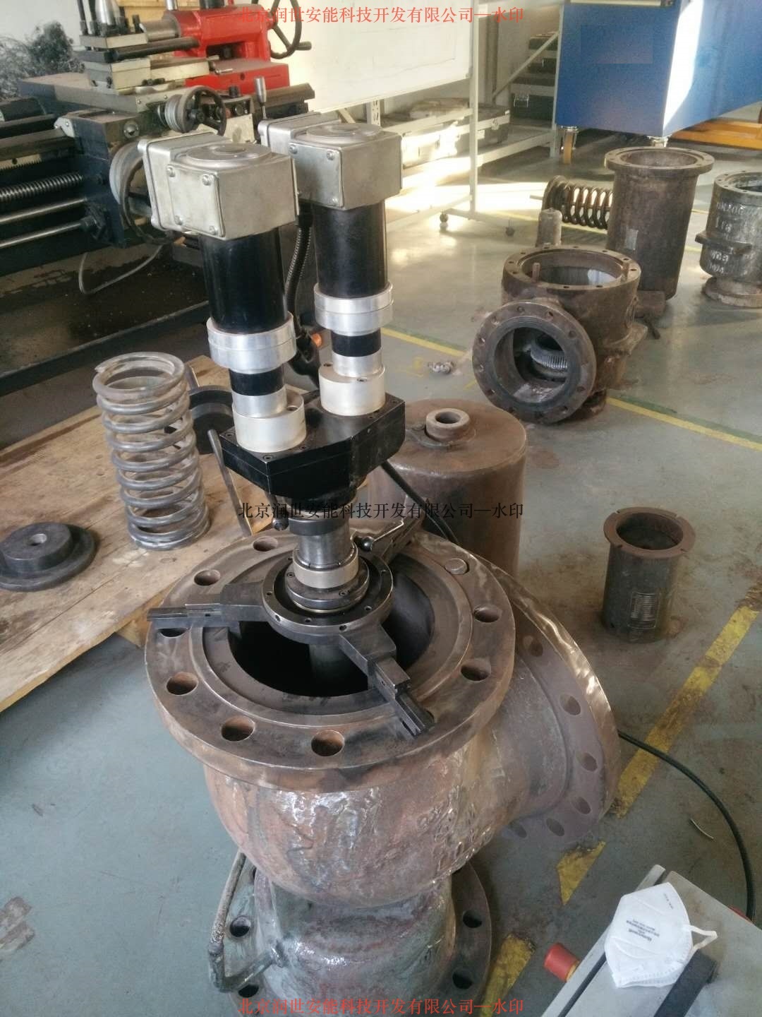 5c33fef3cfbd8.jpg